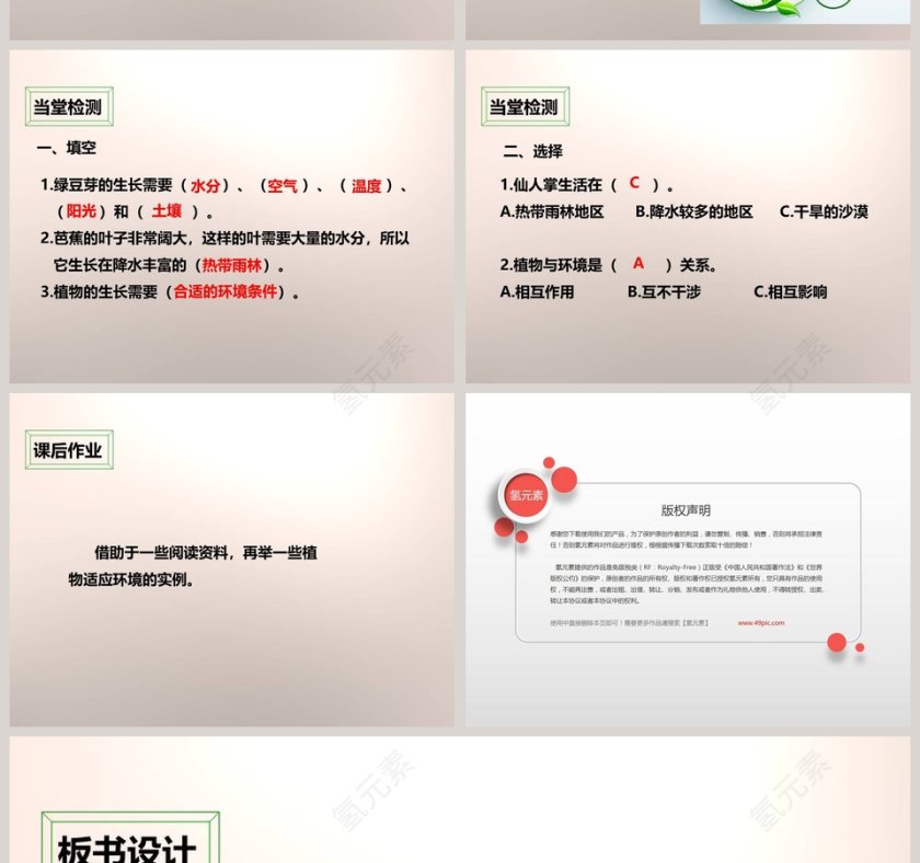 教科版五年级上册教育培训PPT模板第6张