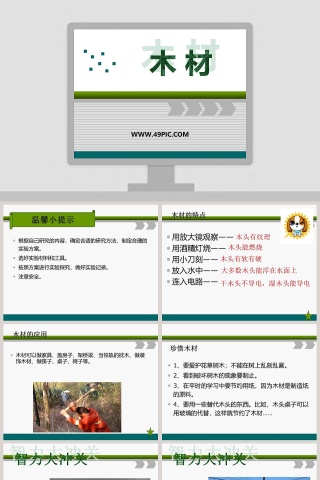 木 材教学ppt课件