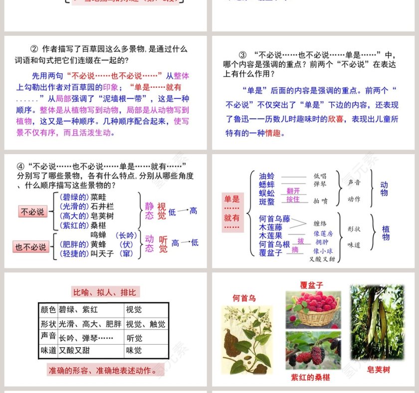 课文解读从百草园到三味书屋语文课件PPT第4张
