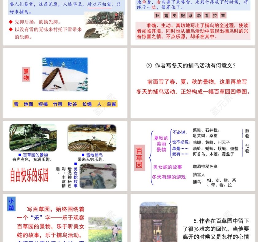 课文解读从百草园到三味书屋语文课件PPT第6张