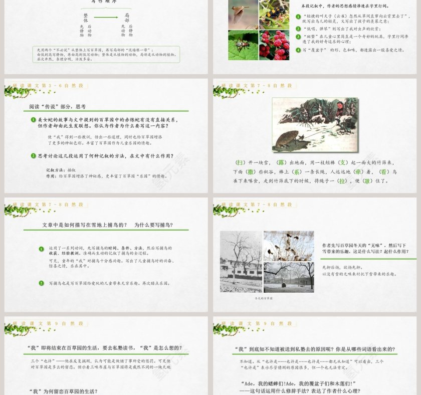 七年级语文课件《从百草园到三味书屋》PPT第6张