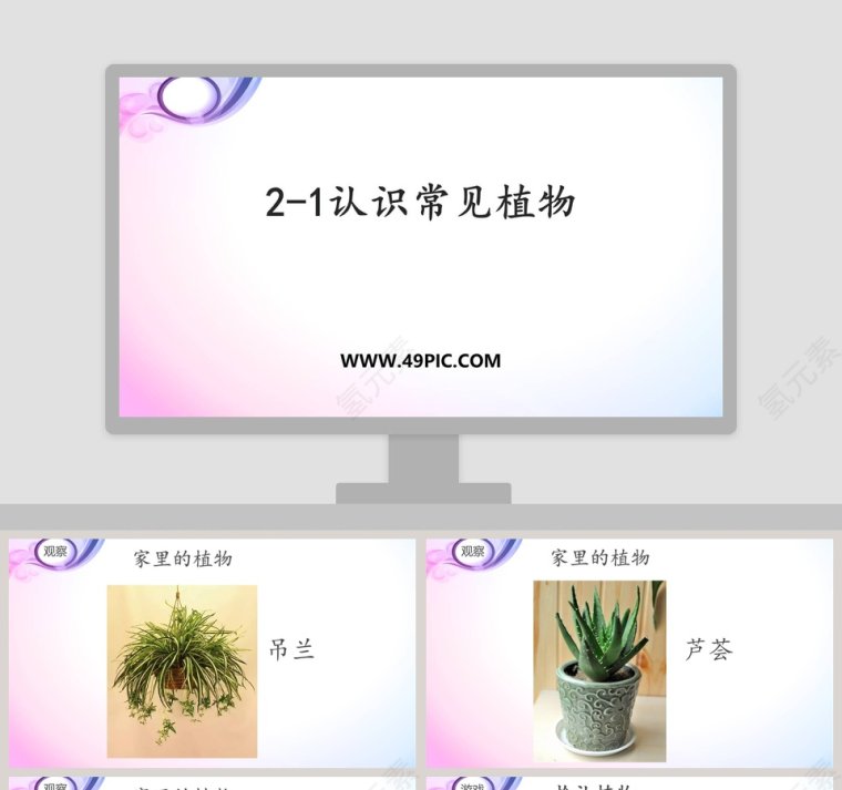 21-认识常见植物教学ppt课件第1张