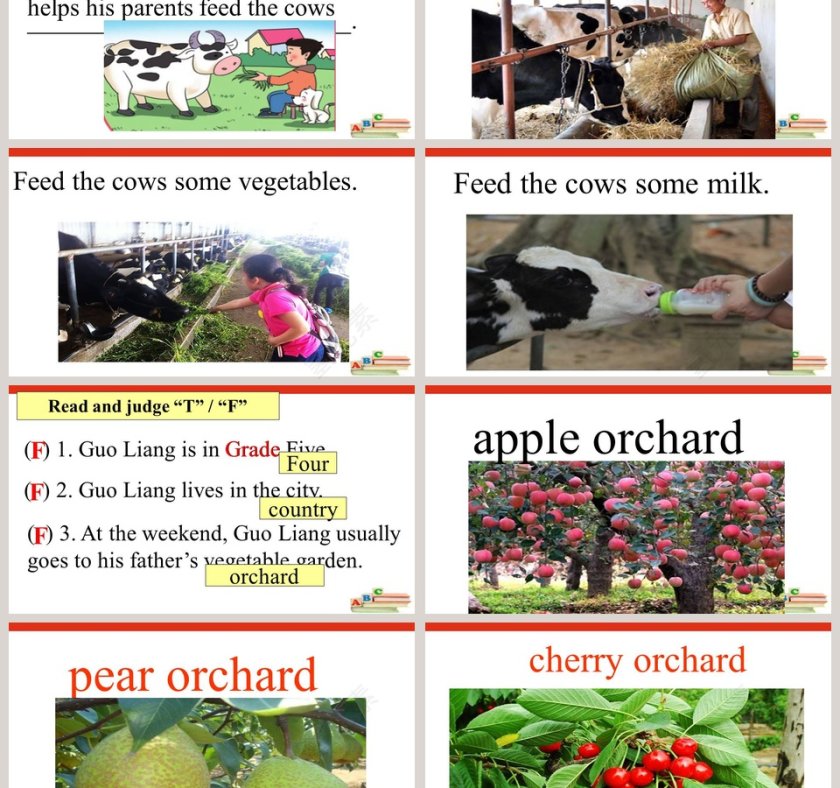 He goes to school by school bus - 教育培训PPT模板第3张