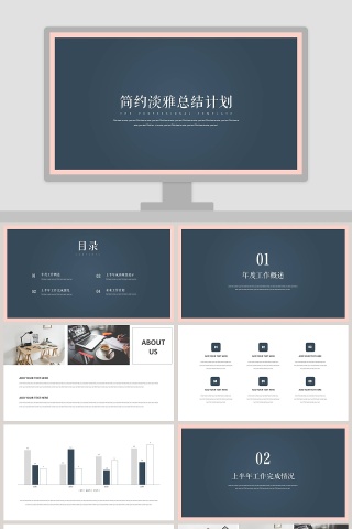 简约淡雅工作概述总结计划