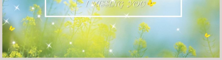 致青春 小清新毕业相册模板第5张