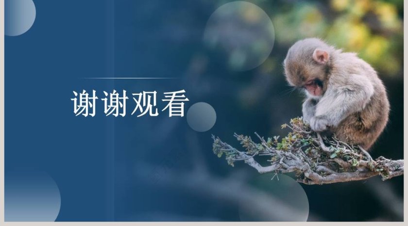 部编版五年级语文下册猴王出世语文课件PPT第5张