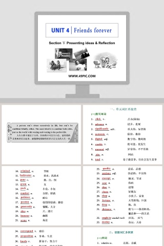 Section  Presenting ideas  Reflection教学ppt课件