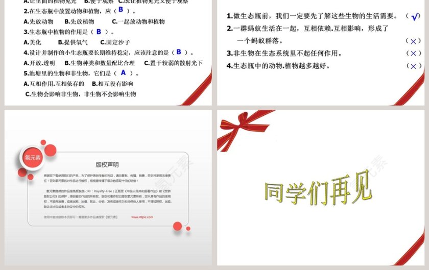 做个小生态瓶-鄂教版五年级科学上册课件教学ppt课件第3张