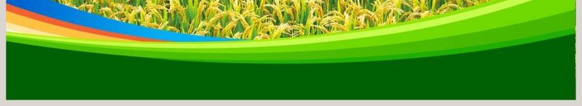 农业水稻种植农业招商农产品宣传PPT模板第6张