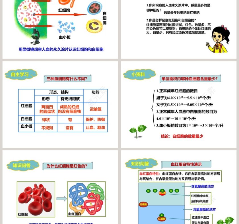人教版生物七年级下册第四单元第四章第一节-流动的组织教学ppt课件第3张