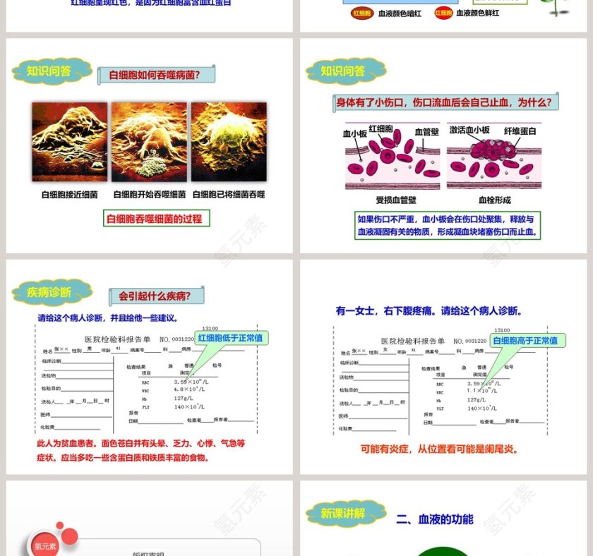 人教版生物七年级下册第四单元第四章第一节-流动的组织教学ppt课件第4张