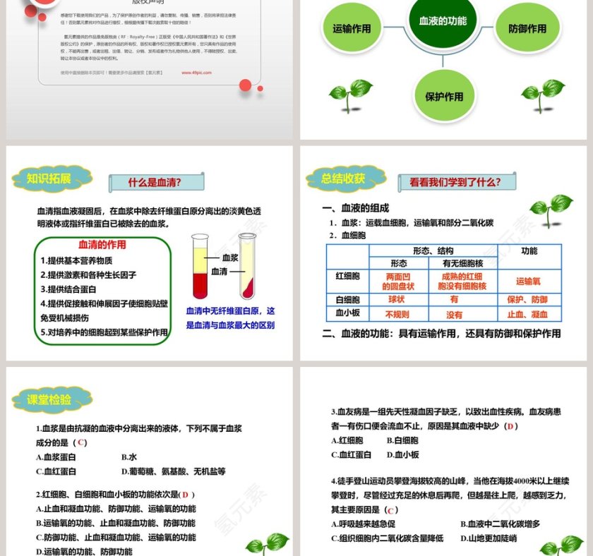 人教版生物七年级下册第四单元第四章第一节-流动的组织教学ppt课件第5张