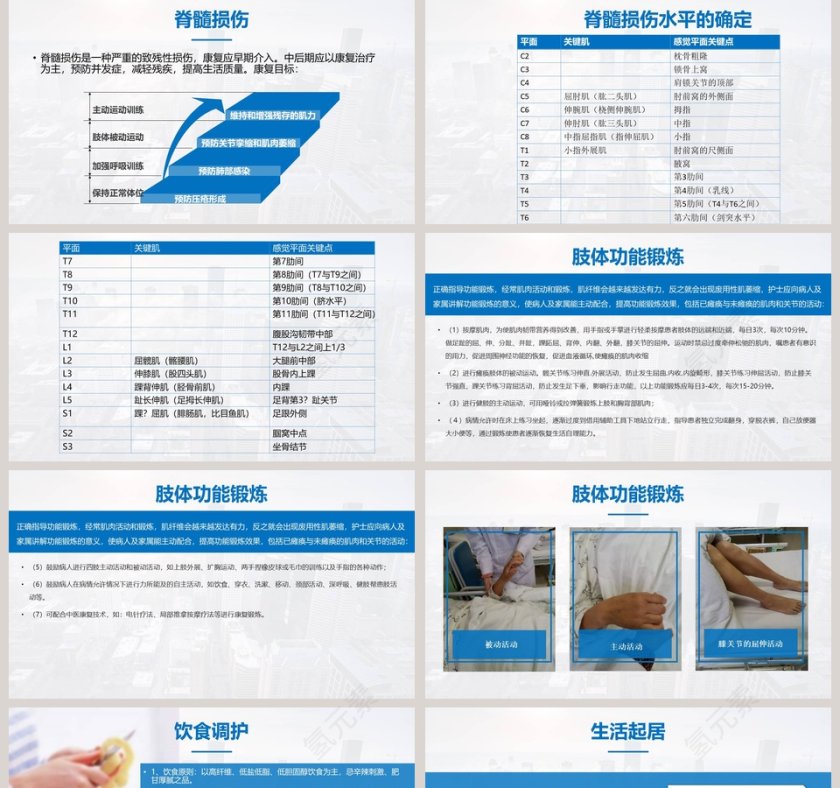 简约大气脊髓损伤护理查房PPT第5张