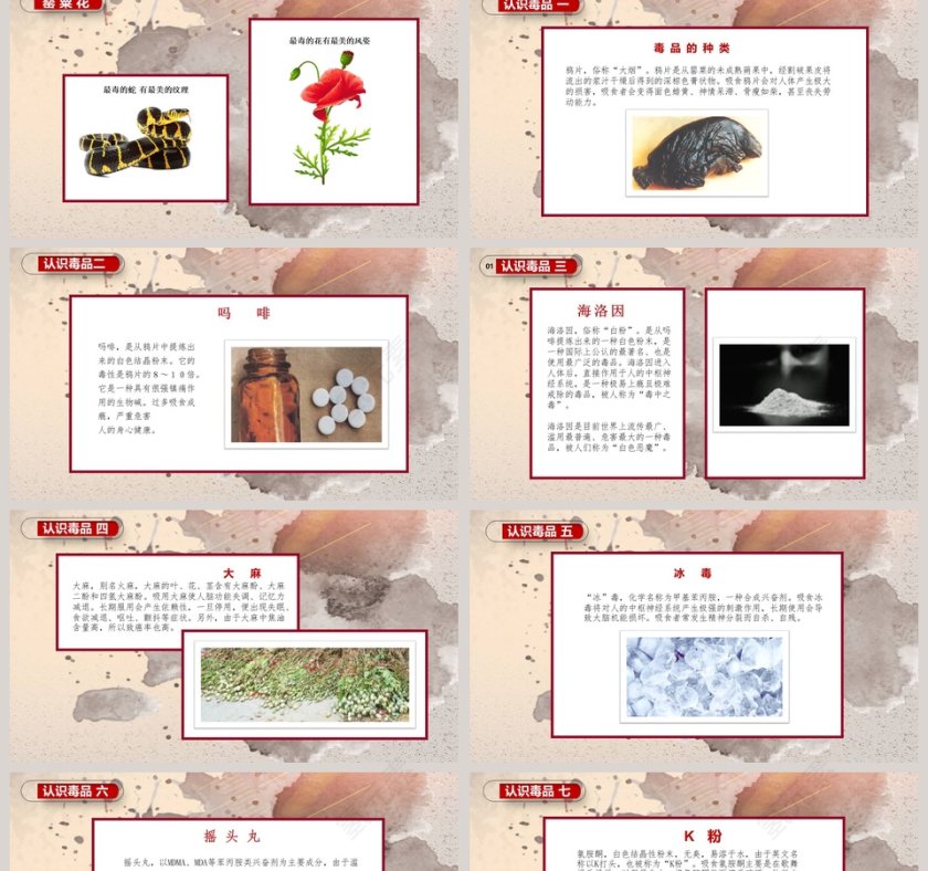 珍爱生命远离毒品主题班会ppt模板第2张