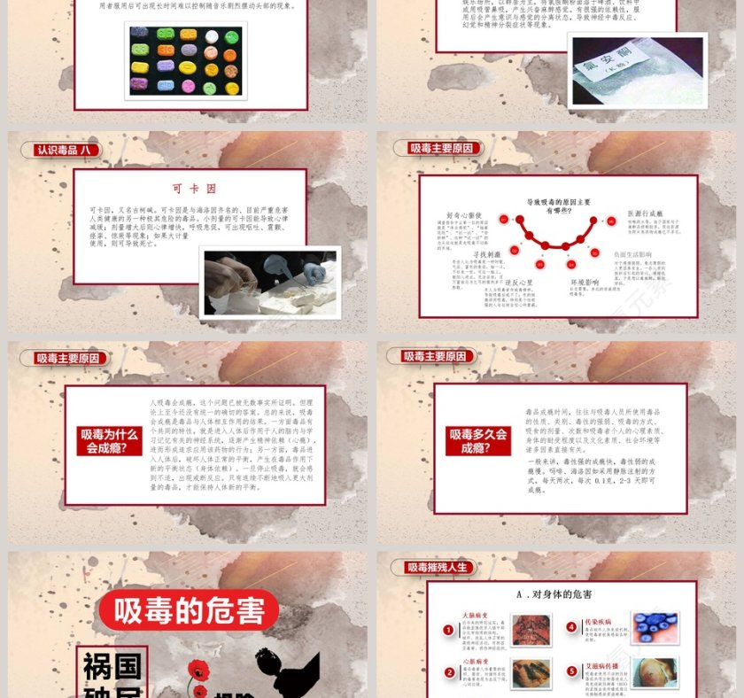 珍爱生命远离毒品主题班会ppt模板第3张