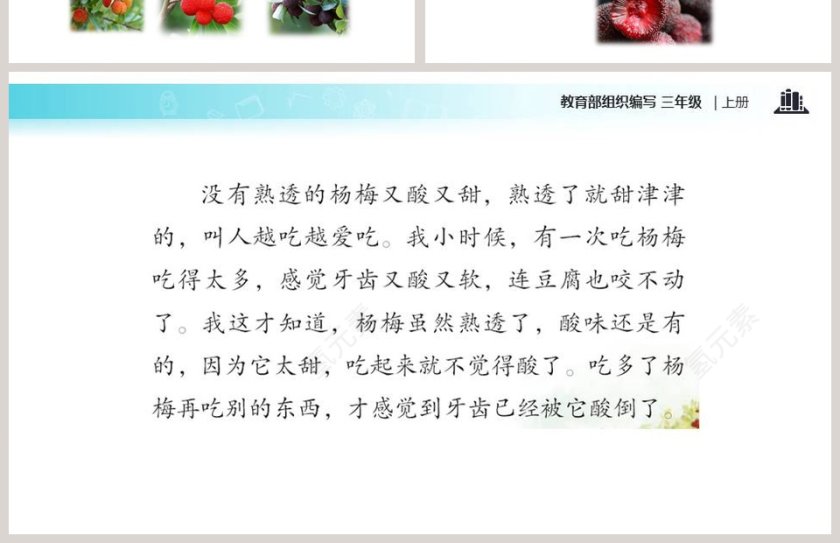 课文解析三年级语文上册我爱故乡的杨梅语文课件PPT第4张