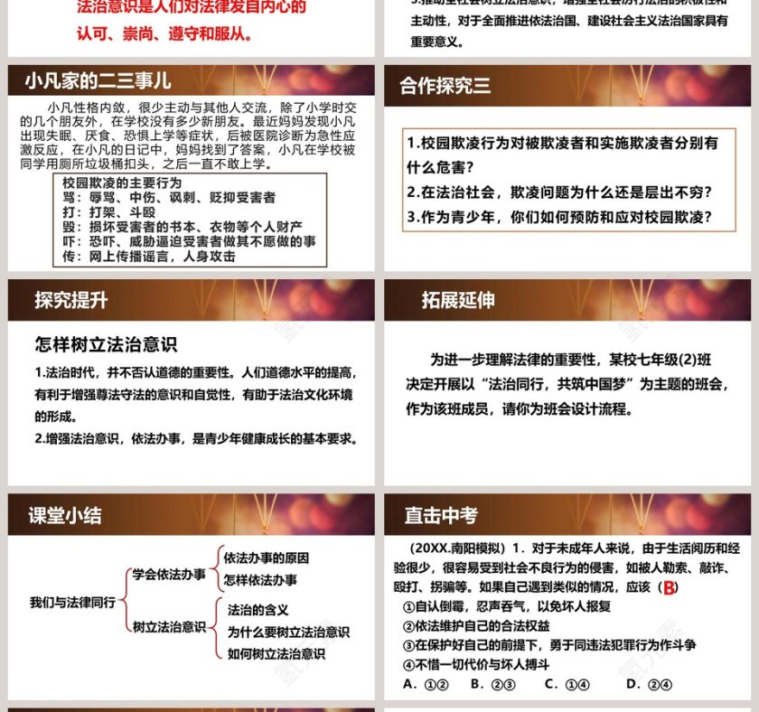 第十课法律伴我们成长-我们与法律同行教学ppt课件第4张