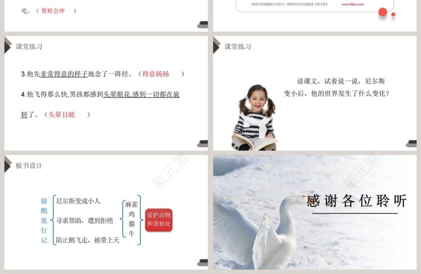 部编版六年级语文下册骑鹅旅行记语文课件PPT第4张