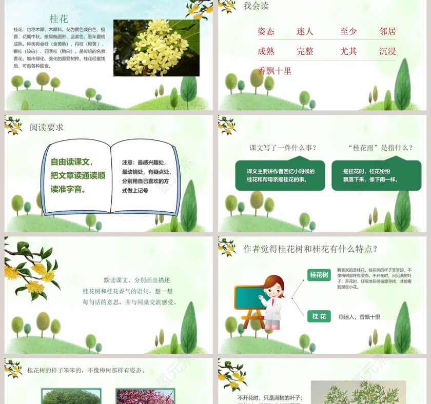 五年级语文课件PPT桂花雨第2张