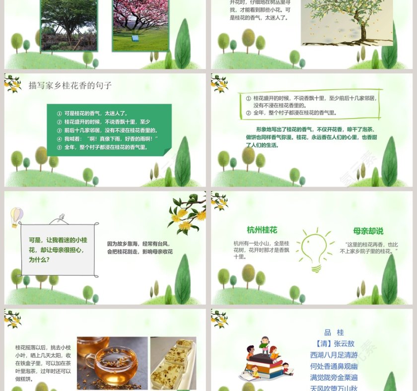 五年级语文课件PPT桂花雨第3张