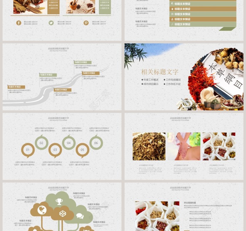 中医中药模版工作概述PPT 第3张