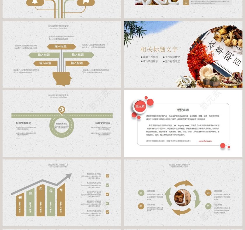 中医中药模版工作概述PPT 第4张