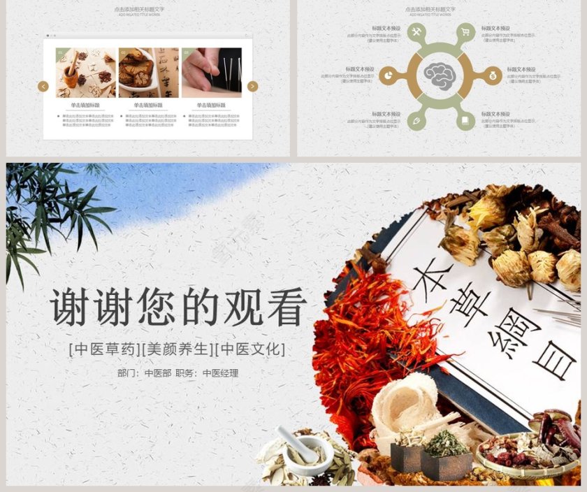 中医中药模版工作概述PPT 第5张