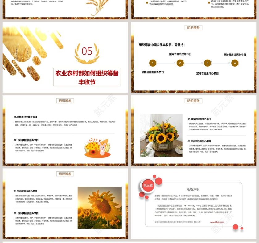 丰收节介绍农业招商农产品宣传PPT模板第4张