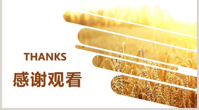 丰收节介绍农业招商农产品宣传PPT模板第5张
