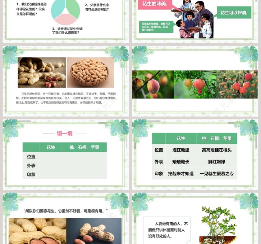 五年级语文课件PPT落花生第3张