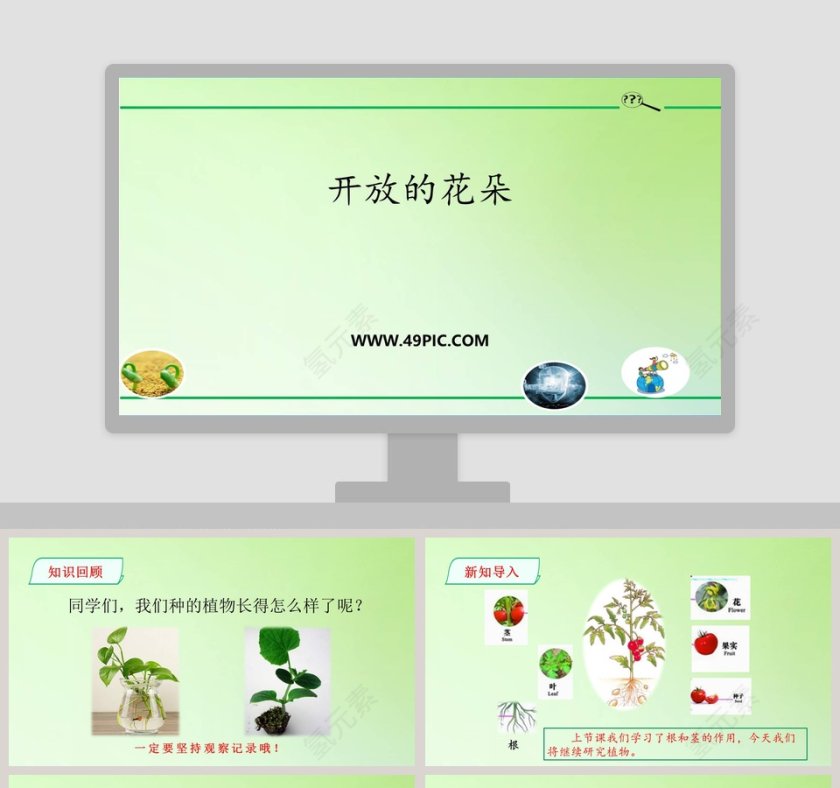 鲜艳的五月：开放的花朵PPT模板第1张