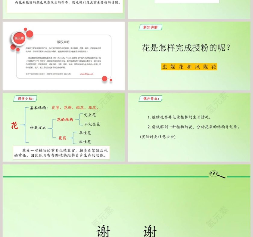 鲜艳的五月：开放的花朵PPT模板第4张