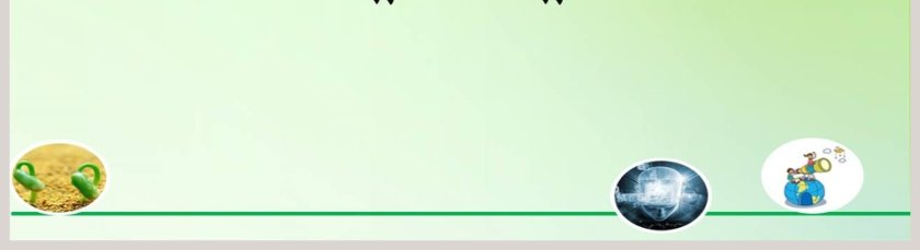 鲜艳的五月：开放的花朵PPT模板第5张