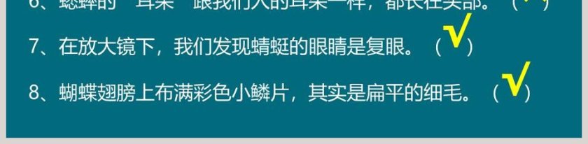 第二节  放大镜下的昆虫世界教学ppt课件第5张