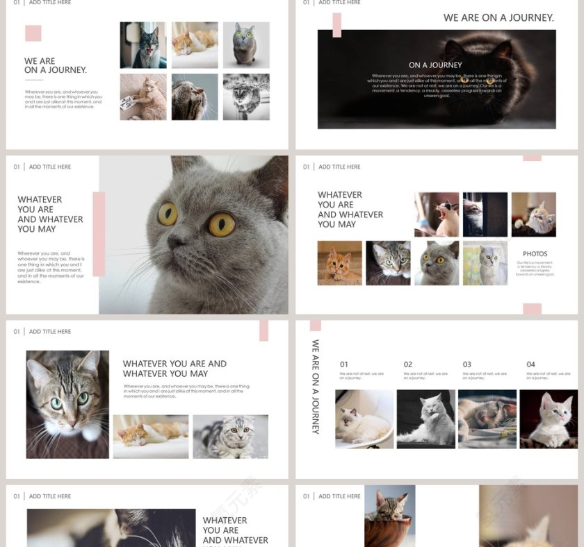 猫咪日记PPT第2张