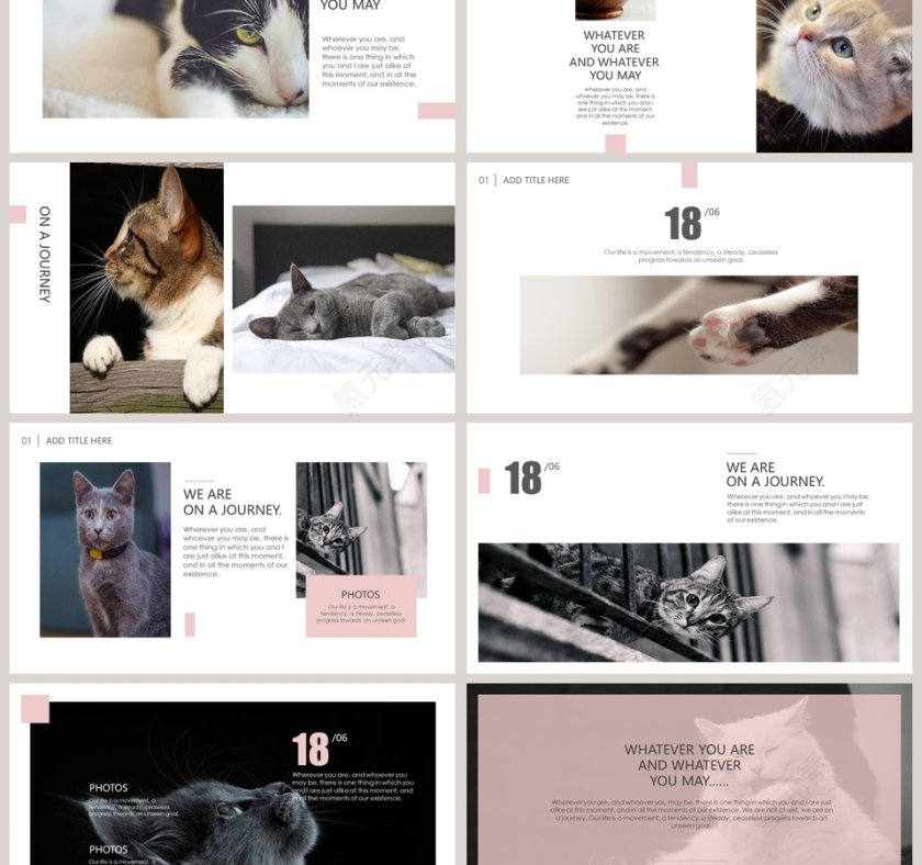 猫咪日记PPT第3张