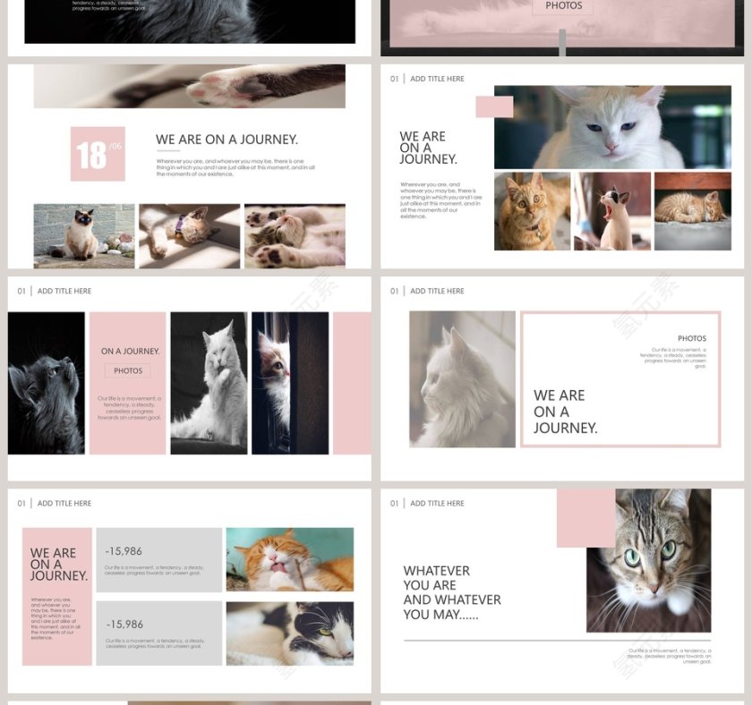 猫咪日记PPT第4张