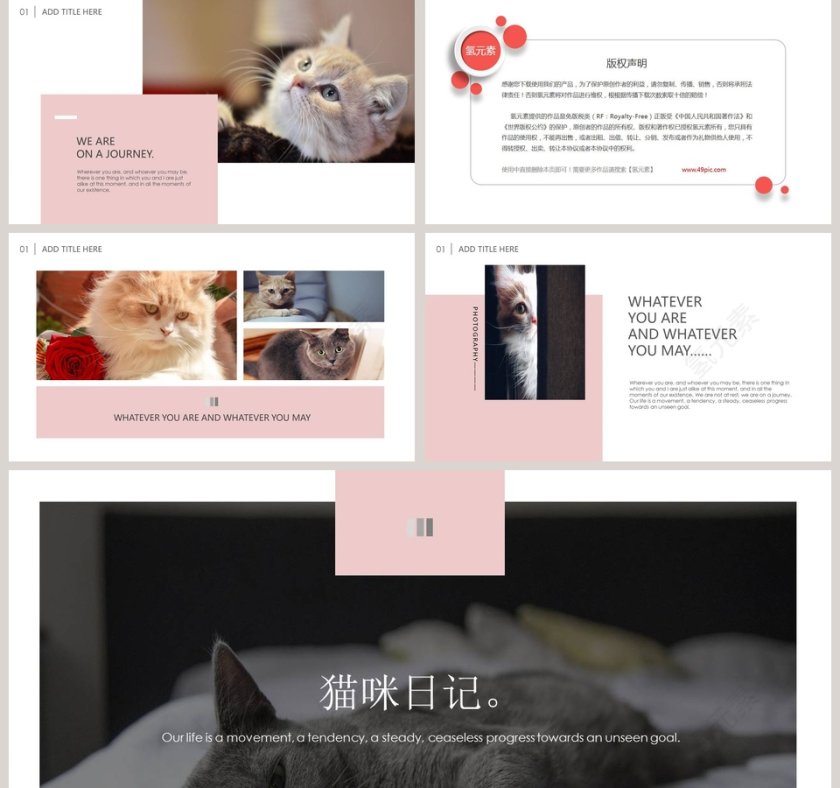 猫咪日记PPT第5张