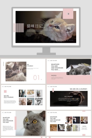 猫咪日记PPT