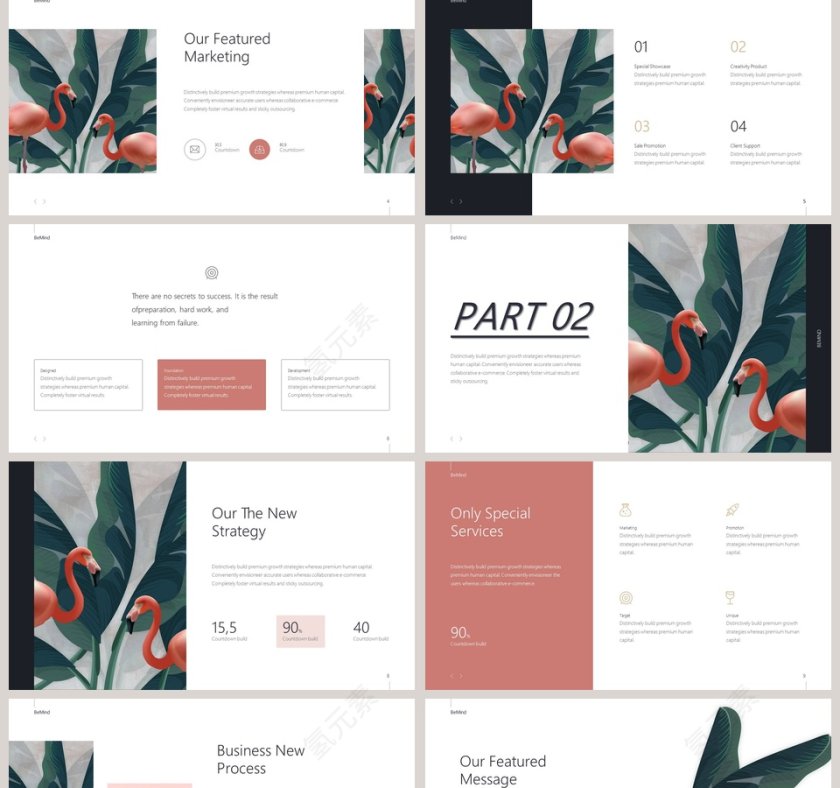 清新火烈鸟ppt第2张