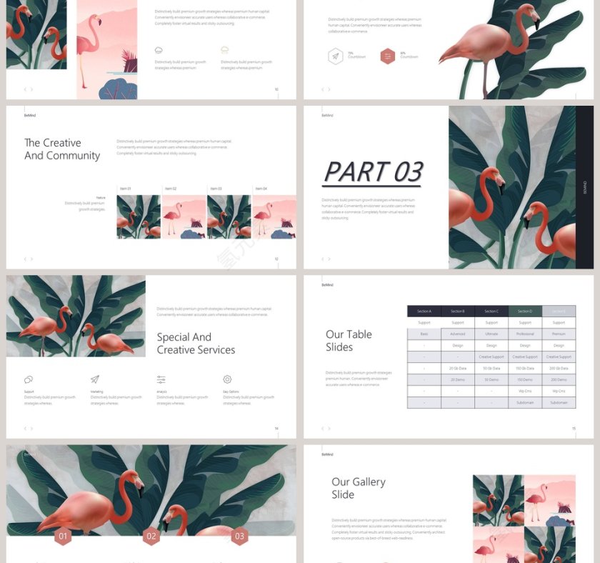 清新火烈鸟ppt第3张