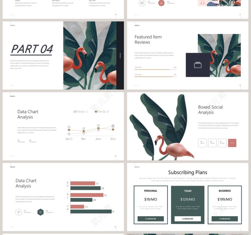 清新火烈鸟ppt第4张