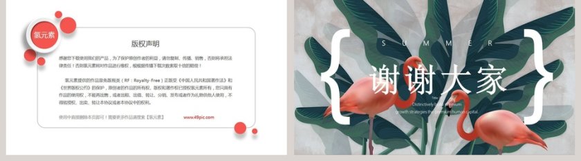 清新火烈鸟ppt第5张