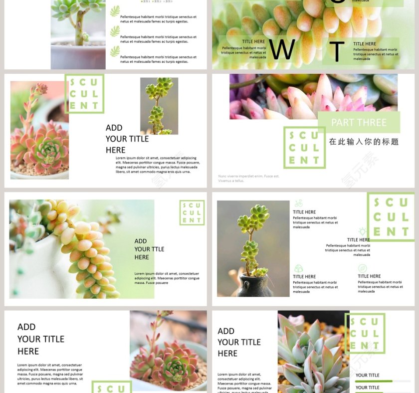 小清新欧美风通用型模板PPT第3张