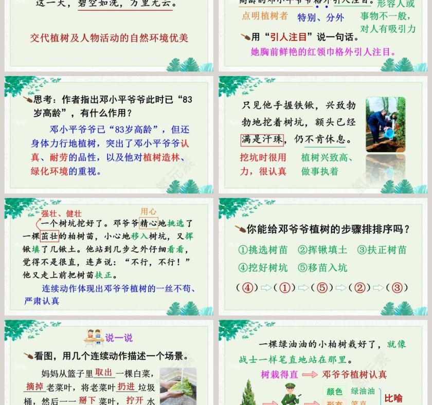 课文解析二年级语文下册邓小平爷爷植树语文课件PPT第3张