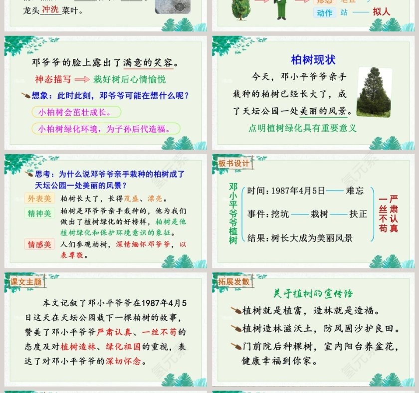 课文解析二年级语文下册邓小平爷爷植树语文课件PPT第4张