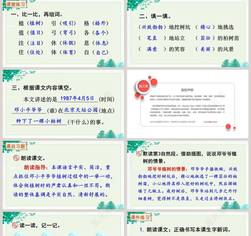 课文解析二年级语文下册邓小平爷爷植树语文课件PPT第5张