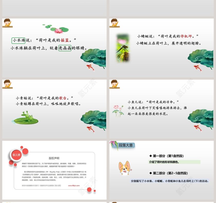 课文解析一年级语文下册荷叶圆圆语文课件PPT第4张