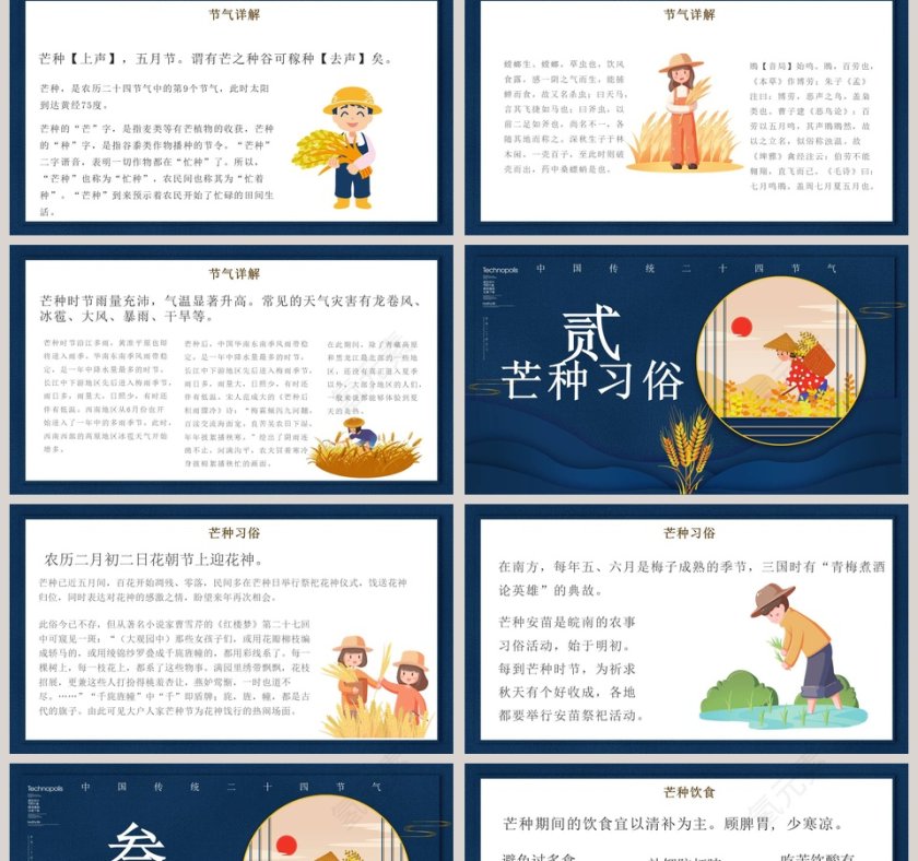 中国传统二十四节气芒种PPT模板第2张