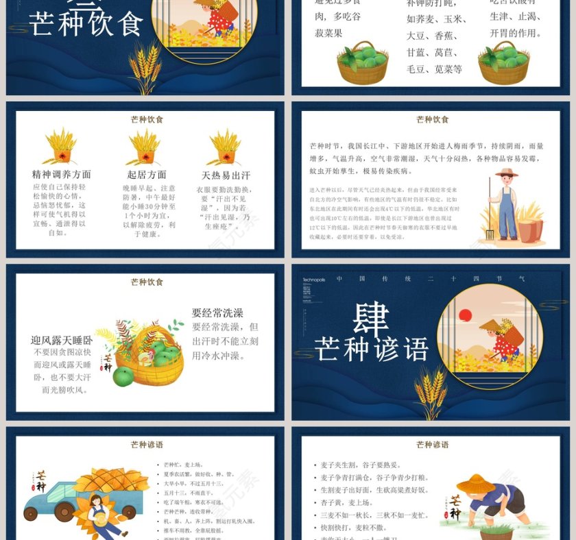 中国传统二十四节气芒种PPT模板第3张